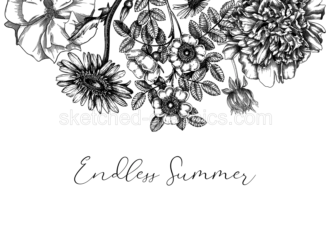Summer flowers border in vintage style. Hand-sketched garden plants frame design. For greeting cards, wedding invites, and floral banners. Hand-drawn botanical illustration with floral sketches. Illustration